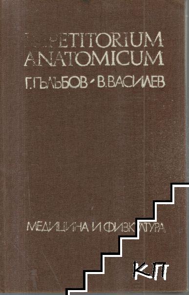 Repetitorium anatomicum