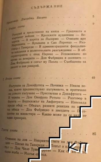 Гепардът (Допълнителна снимка 1)