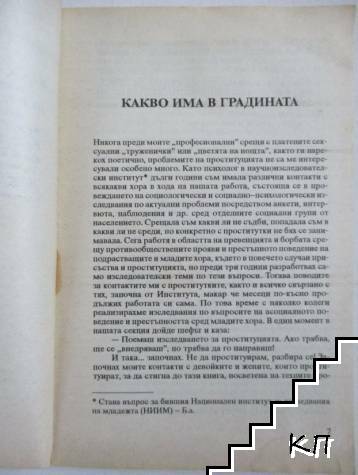 Цветята на нощта - снимка 2