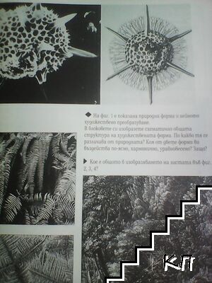 Изобразително изкуство (Допълнителна снимка 1)