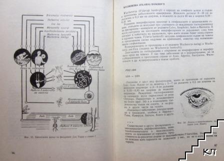 Паразитология (Допълнителна снимка 3)