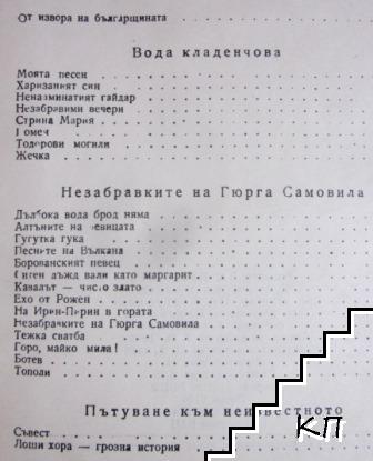 Стрък чемшир - снимка 1