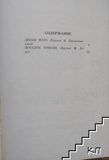 Лисья нора, Поселок Тополи (Допълнителна снимка 1)