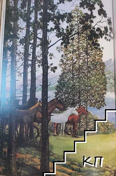 Книга за Еднорога (Допълнителна снимка 2)