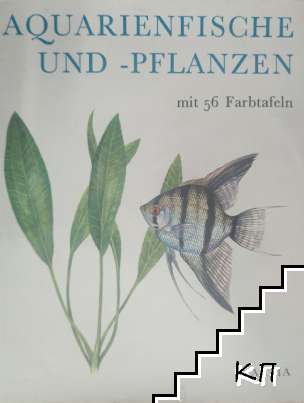 Aquarienfishe und -phlanzen