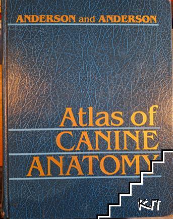 Atlas of canine anatomy