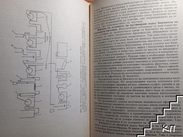 Биотехнологичен синтез (Допълнителна снимка 3)