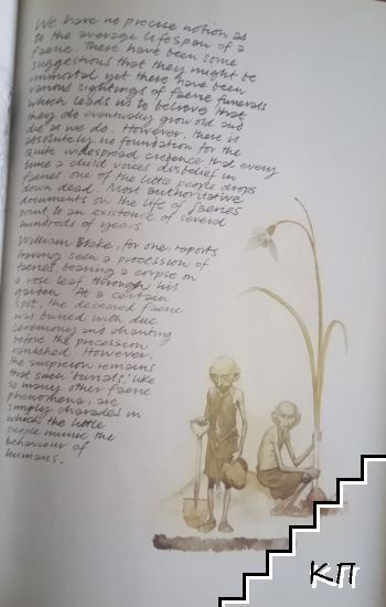 Faeries (Допълнителна снимка 2)