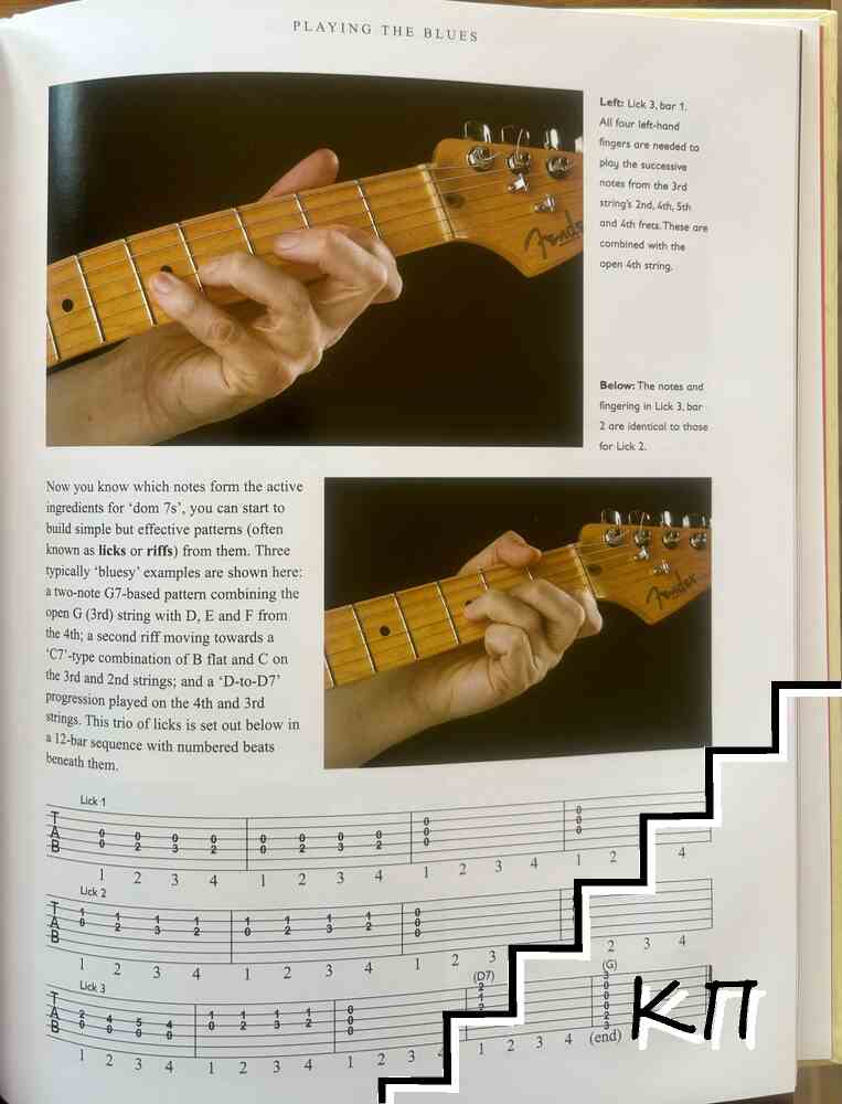 Learn To Play The Guitar (Допълнителна снимка 2)