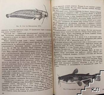 Ихтиология (Допълнителна снимка 1)