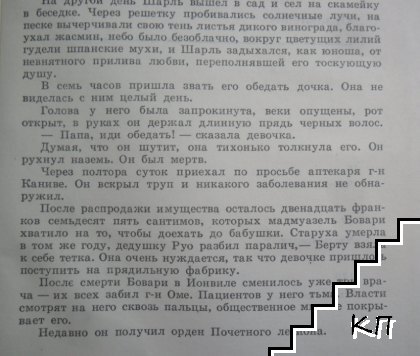 Госпожа Бовари (Допълнителна снимка 3)