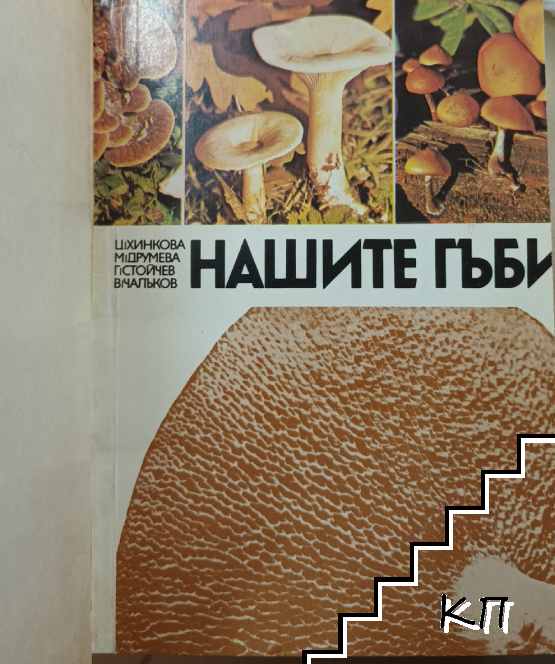 Нашите гъби (Допълнителна снимка 1)