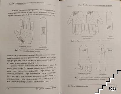 Су Джок семянотерапия (Допълнителна снимка 1)
