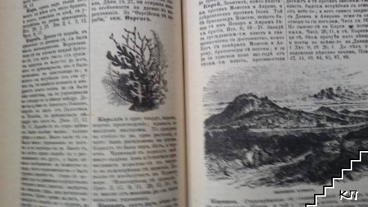 Български библейски речник - снимка 3