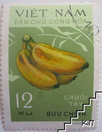 Dan Chu Cong Hoa - Chuoi Tay