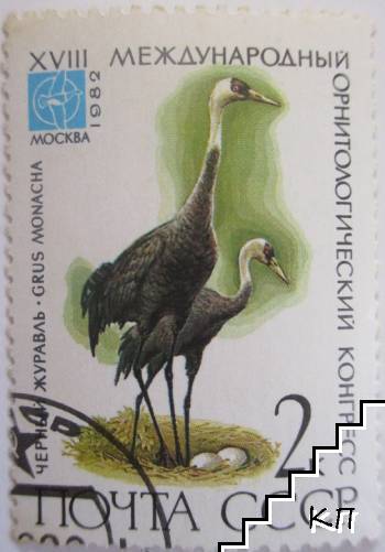 Черный журавль