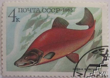 Нерка красная