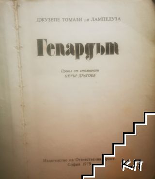 Гепардът - снимка 1