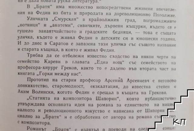 Братя (Допълнителна снимка 3)