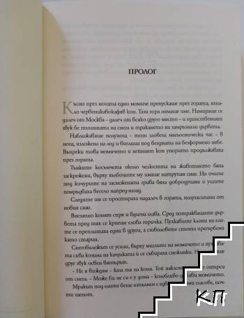 Момичето в кулата - снимка 2