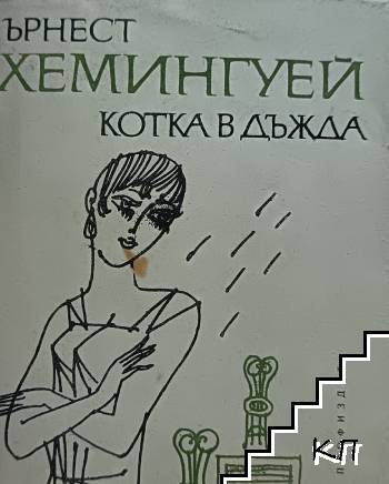 Котка в дъжда