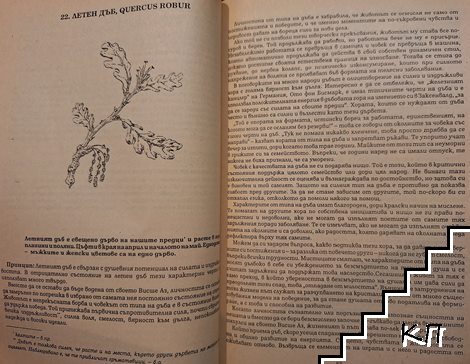 Цветолечение (Допълнителна снимка 1)