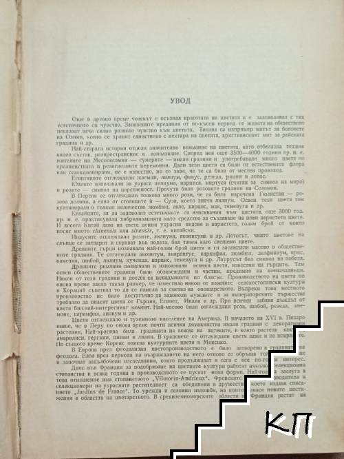 Цветарство (Допълнителна снимка 1)