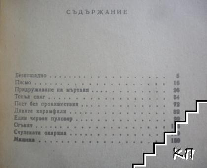 Топъл сняг (Допълнителна снимка 3)