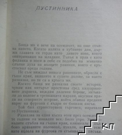 Сивото кенгуру (Допълнителна снимка 2)