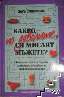 Какво, по дяволите, си мислят мъжете?