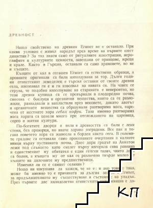 Обединена арабска република (Допълнителна снимка 1)