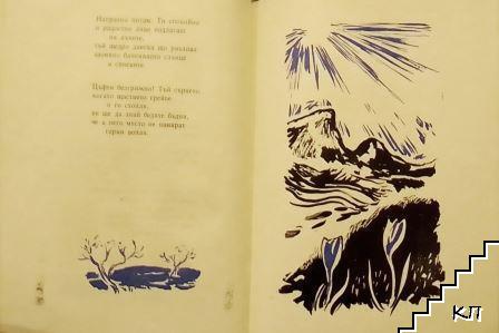 Копнения (Допълнителна снимка 1)