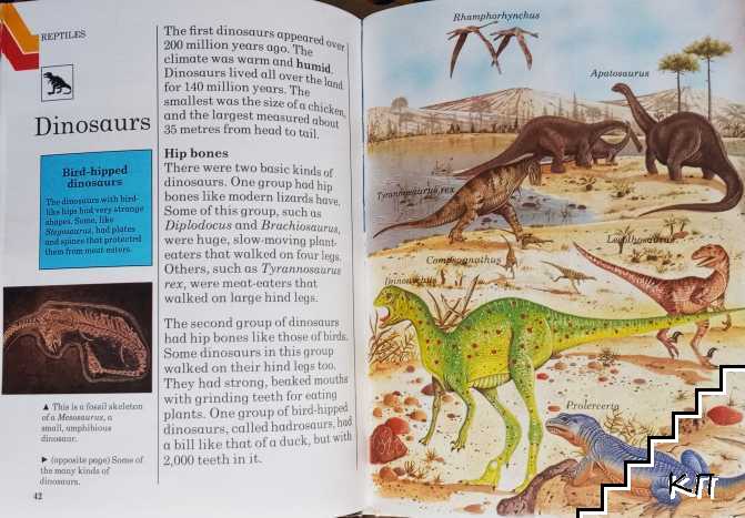 My first reference library: Prehistory (Допълнителна снимка 1)