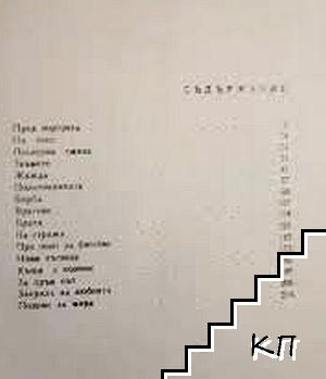 На стража - снимка 2