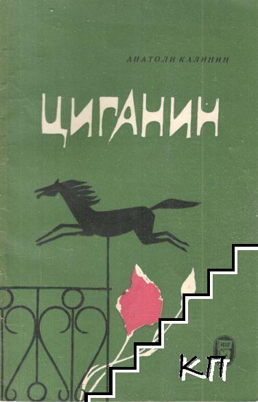 Циганин