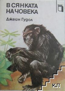 В сянката на човека