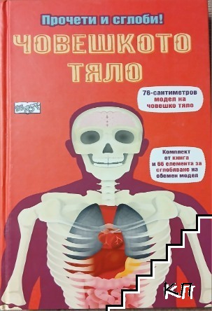 Човешкото тяло. Прочети и сглоби