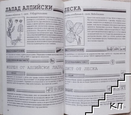 Билките в парка (Допълнителна снимка 2)
