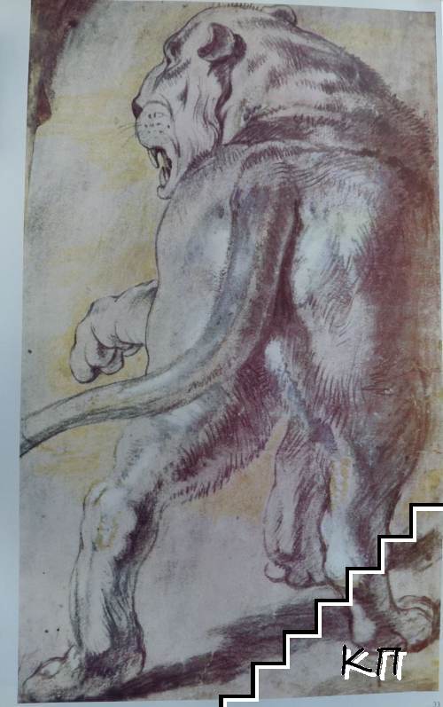 Rubens (Допълнителна снимка 2)