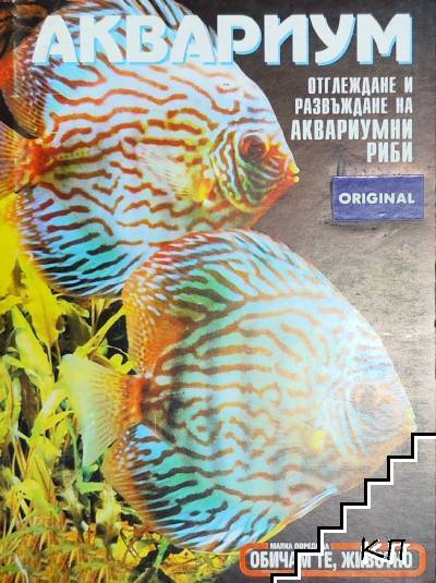 Аквариум