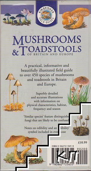Mushrooms and toadstools (Допълнителна снимка 1)