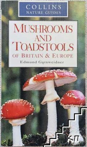 Mushrooms and toadstools of Britain & Europe