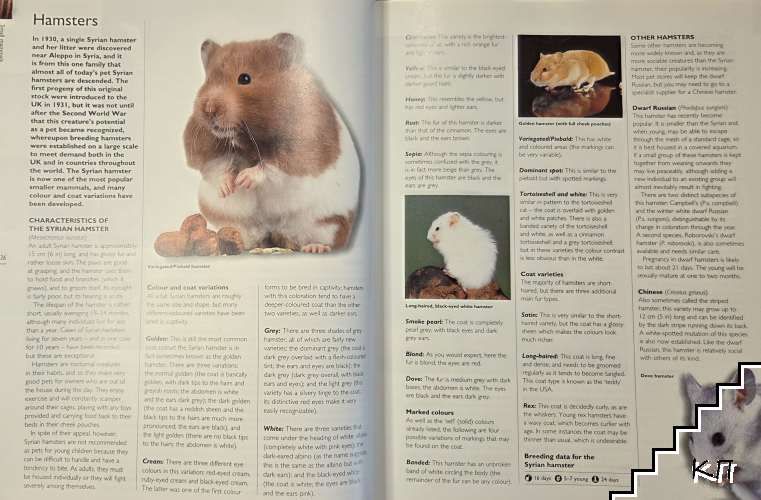 The Hamlyn Family Pet Care Encyclopedia (Допълнителна снимка 2)