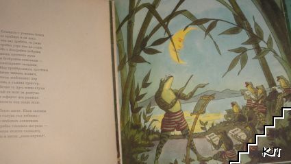 Кряк и Квак (Допълнителна снимка 1)