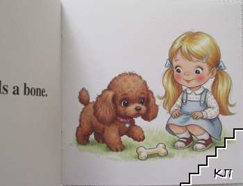 Go Home, Coco - снимка 2