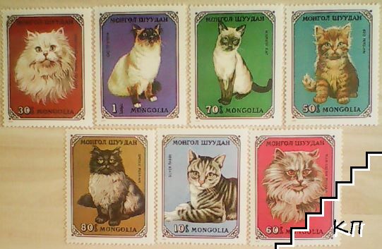 Монголия - Домашни котки