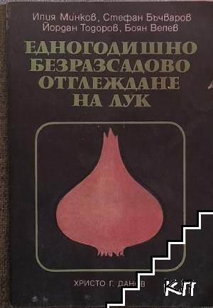 Едногодишно безразсадово отглеждане на лук