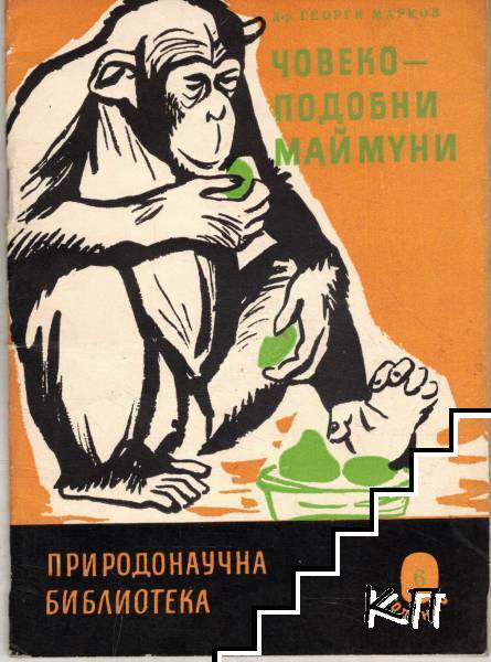 Човекоподобни маймуни Човекоподобни маймуни