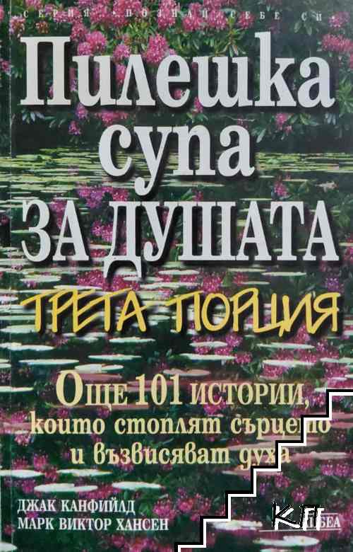 Пилешка супа за душата. Трета порция