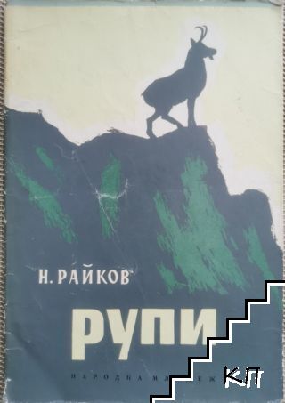 Рупи Рупи